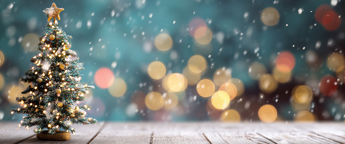 Rank Christmas Tree & Décor Suppliers